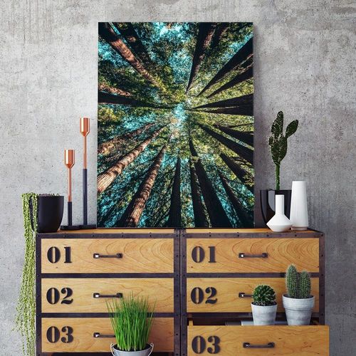 Deco Panel, Konary wysokich drzew 60x90 na Arena.pl