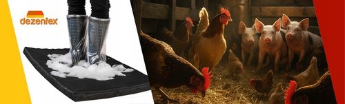 MATA DEZYNFEKCYJNA 100X60X4CM STANDARD + GRATIS! na Arena.pl