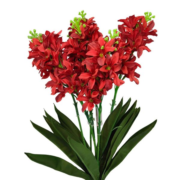 Bukiet hiacynt czerwony zdjęcie 1