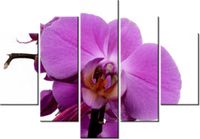 105CM 150CM OBRAZ 5 ELEM FIOLETOWY STORCZYK DRUK