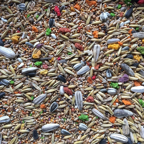 KOKINO Dako-Art NIMFA 3 kg karma pokarm jedzenie papugi nimfy worek 5L na Arena.pl