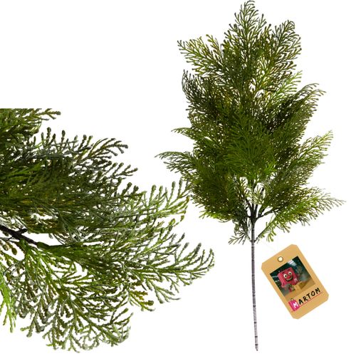 Gałązka Ozdobna Jałowiec Gałąź Iglasta Do Kompozycji Stroikow Na Cmentarz na Arena.pl