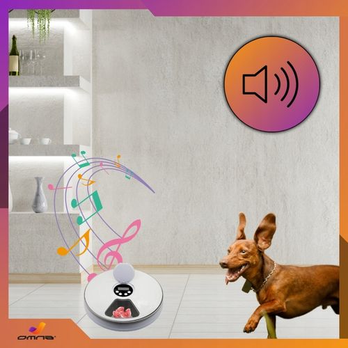 Automatyczny podajnik karmy dla kota psa królika kotów dozownik karmy miska na Arena.pl