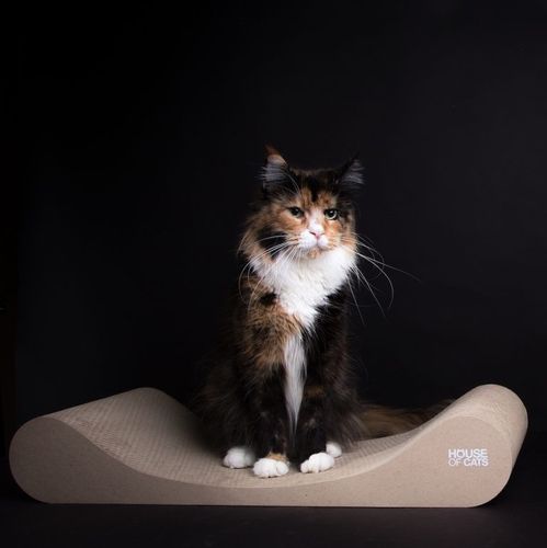 Drapak dla kotów Sofa Drapak dla kota Sofa Eco na Arena.pl