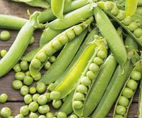 NASIONA Groch Łuskowy Wczesny 50g SPÓJNIA Grochu Groszek 700312