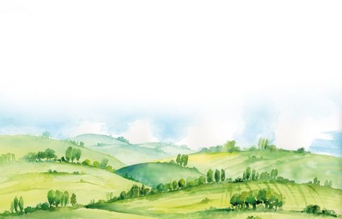 Gra Łąka (Meadow) PL na Arena.pl