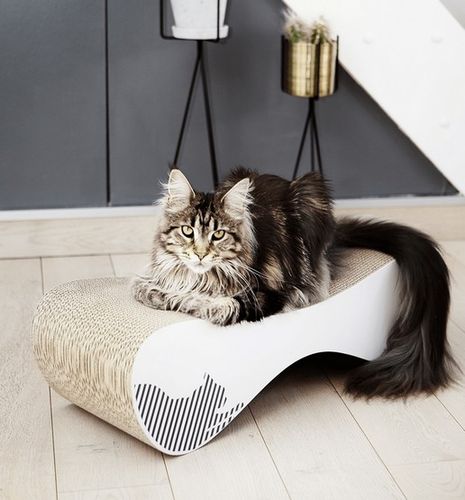 MyKotty Drapak Vigo biały na Arena.pl