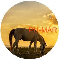 Opłatek na tort KONIE Koń Mustang Konik Kuc Urodziny Tekst Gratis