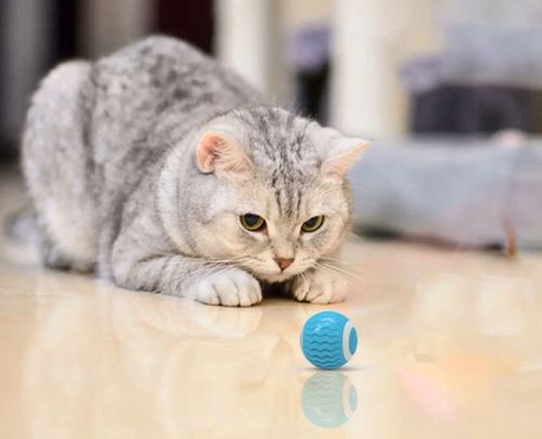 Inteligentna piłka dla kota ruchoma zabawka USB niebieska kula na Arena.pl