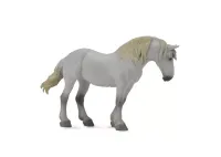 Ogier rasy campolina, szary