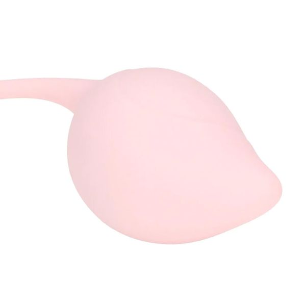 Pelvic Stem Kegel Kit - Multicolor zdjęcie 5