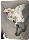 Obraz 70x100cm Scops Owl in Moonlight, Koson Japoński Vintage do Salonu