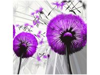 50CM 50CM OBRAZ DMUCHAWCE FIOLECIE DRUK PŁÓTNO