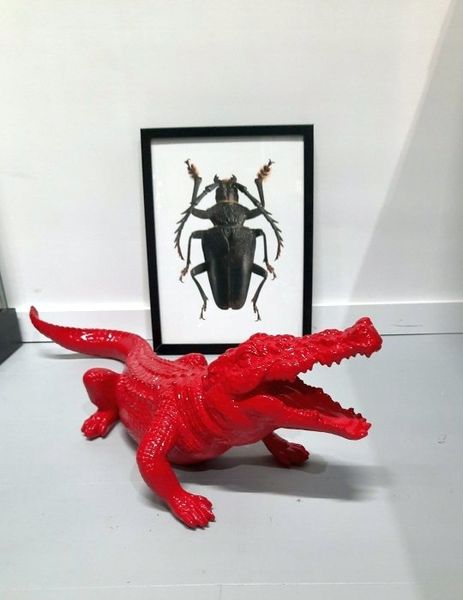 ADM - Wielki Czerwony Krokodyl zdjęcie 4