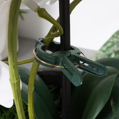 Klipsy do roślin  20 szt. na Arena.pl