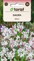 Gaura biała nasiona 0,5 g.
