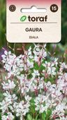 Gaura biała nasiona 0,5 g.