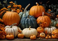 product-compare-59350737