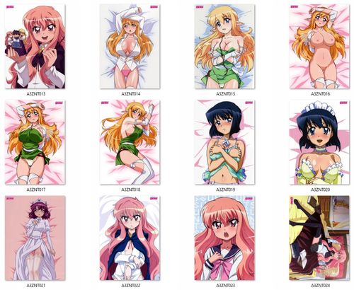 Plakat Zero no Tsukaima DO WYBORU na Arena.pl