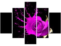 70 100CM OBRAZ 5 ELEM PLUSK DRUK PŁÓTNO