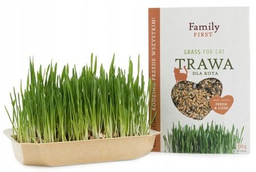 TRAWA DLA KOTA W POJEMNIKU GĘSTA ODKŁACZAJĄCA KOCI PRZYSMAK SMAKOŁYK 4x100G na Arena.pl