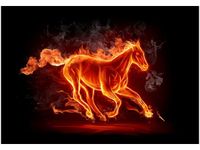 100 70CM OBRAZ PŁÓTNO OGNISTY KOŃ PŁÓTNO RAMA