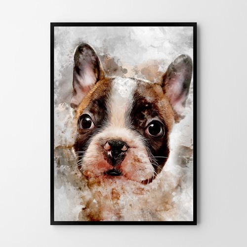 Plakat buldog pies abstrakcja 40x50 cm na Arena.pl
