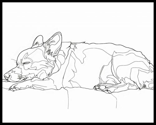 Plakat 76x60,5cm Śpiący Psiak na Arena.pl