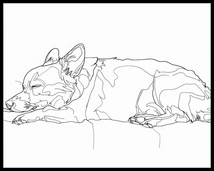 Plakat 76x60,5cm Śpiący Psiak zdjęcie 2