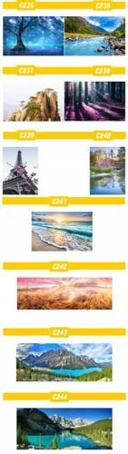 PLAKAT natura przyroda widoki lasy MORZE tanie! na Arena.pl