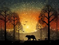 Plakat 65x50cm Zachód w Dzikim Lesie