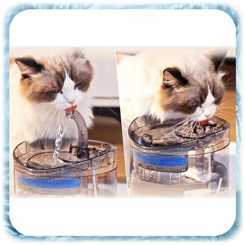 POIDEŁKO FONTANNA DLA KOTA PSA Poidło Automatyczne Miska 1,8L + Filtr na Arena.pl