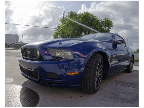 40X50CM MUSTANG BRETT LEVIN OBRAZ na Arena.pl