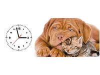 100X40CM ZEGAR ZEGAR ŚCIENNY KOT PSEM OBRAZ