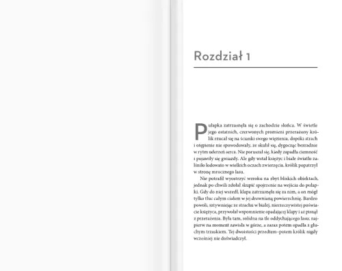 Olśnienie na Arena.pl