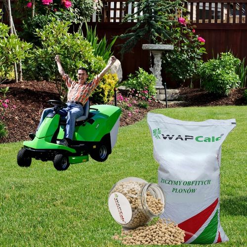 Wapno Granulowane Magnezowe 24,4 kg Dolomit do Trawnika Ogrodowe na Arena.pl