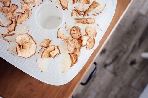 SUSZARKA DO GRZYBÓW OWOCÓW WARZYW RYB REGULACJA 5 SIT na Arena.pl