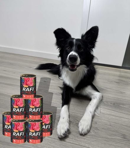 karma mokra dla psów rafi z wołowiną, borówką i żurawiną 400g - 1 szt. na Arena.pl