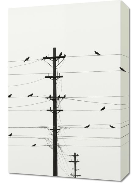 Obraz 40x60cm Symfonia na Drutach zdjęcie 1
