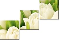 70 90CM OBRAZ 3 ELEM DELIKATNE TULIPANY ŚCIENNY DRUK PŁÓTNO