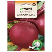 Burak ćwikłowy CZERWONA KULA 2 (taśma 6m)