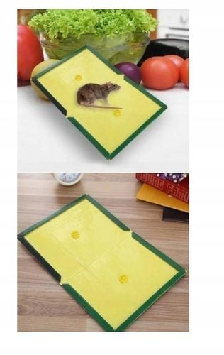 50x LEP na myszy SZCZURY silna pułapka MOCNY KLEJ Aromat MYSZOŁAPKA na Arena.pl