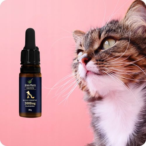 Olejek Konopny CBD 10% | Dla PSA 3000mg 33ml | Weterynaryjny | Bez THC na Arena.pl