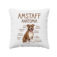 Amstaff anatomia - poduszka na prezent z pieskiem