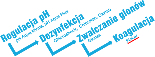 Preparat do basenu FLOKER na Arena.pl