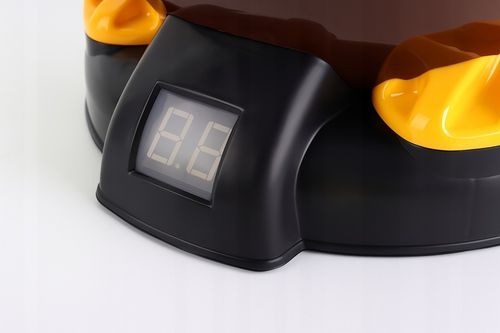 GŁODNA KACZKA XXL STRZELANIE DO CELU UCIEKA LED 2xPISTOLET PREZENT URODZINY na Arena.pl