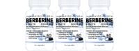 3x BERBERYNA 2000MG 60 KAPS. DER 4:1 WSPARCIE GLUKOZY CUKRZYCA METABOLIZM