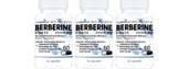 3x BERBERYNA 2000MG 60 KAPS. DER 4:1 WSPARCIE GLUKOZY CUKRZYCA METABOLIZM