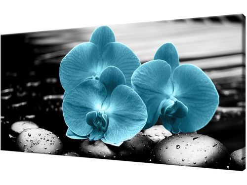 Obraz drukowany płótno 115x55cm Modne DUŻO WZORÓW na Arena.pl