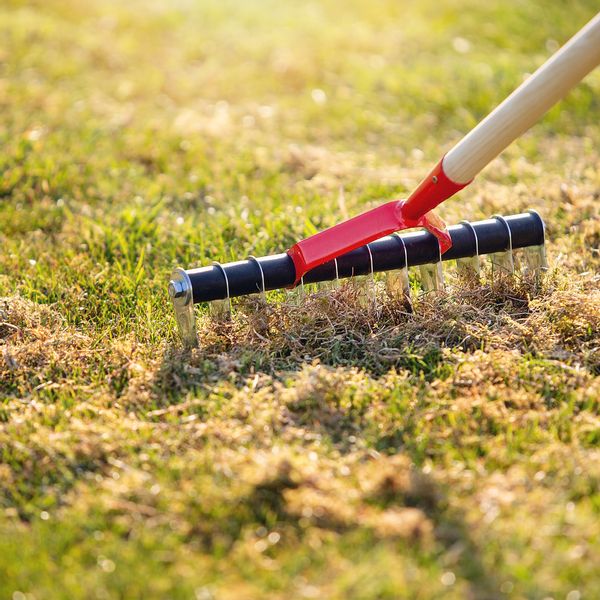 AERATOR DO TRAWY JEDNOSTRONNY RĘCZNY WERTYKULATOR zdjęcie 6